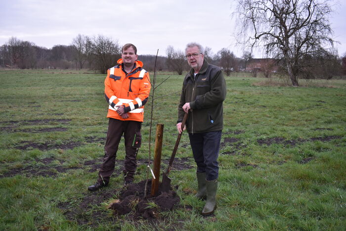 Gudower spendiert Apfelbaum