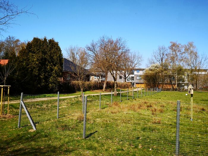 Büchen macht grün - Neue Insektenhotels auf der Schafsweide