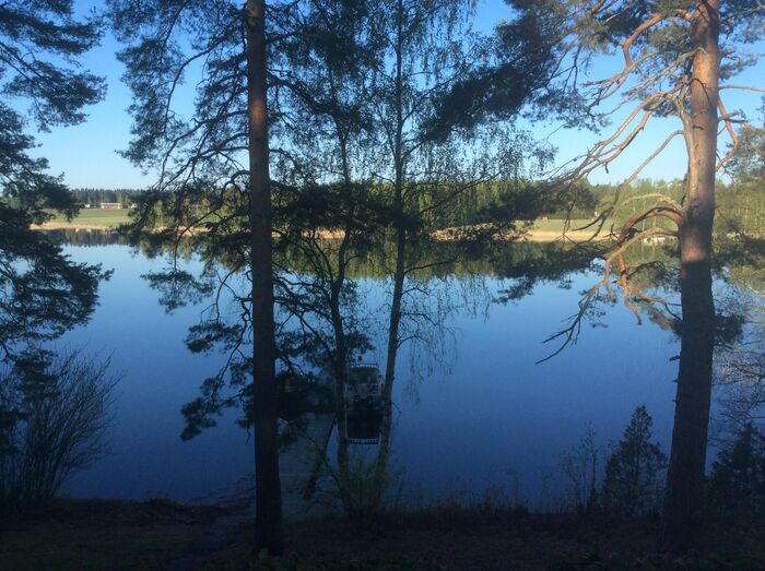 Finnische Natur
